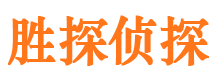 温县市调查公司